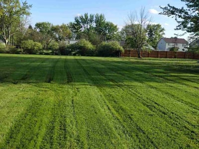 Lawn care service in Troy, 48083