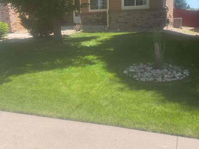 Lawn care service in Severance, 80550