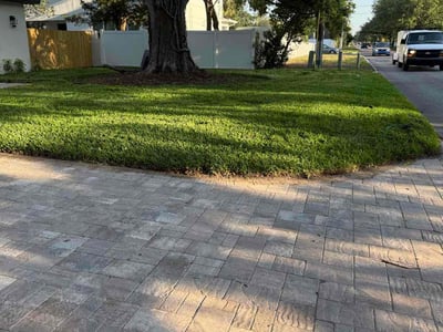Lawn care service in Tampa, 33629
