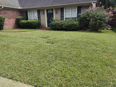 Lawn care service in Flowood, 39232
