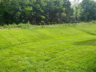 Lawn care service in Thompson's Station, 37179