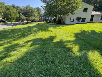 Lawn care service in Kensington, 20895