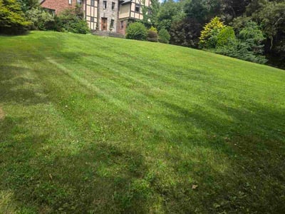 Lawn care service in Wellesley, 02481