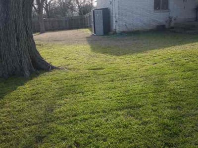 Lawn care service in Austin, 78723