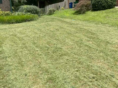 Lawn care service in Decatur, 30033