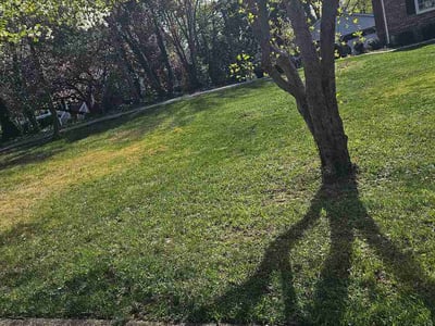 Lawn care service in Annapolis, 21401