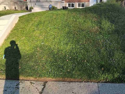 Lawn care service in Baltimore, 21207