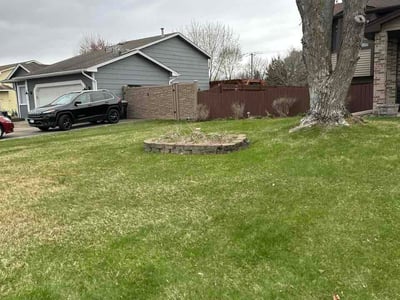 Lawn care service in Champlin, 55316