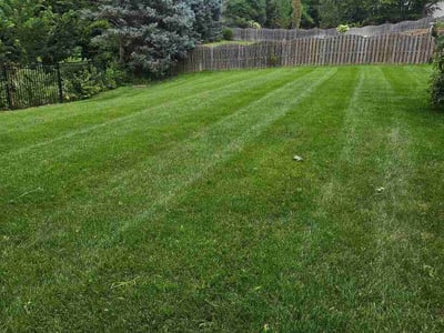 Lawn care service in Omaha, 68135
