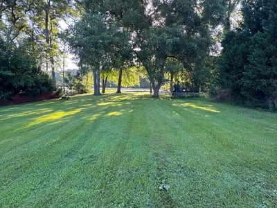 Lawn care service in Norfolk, 23518