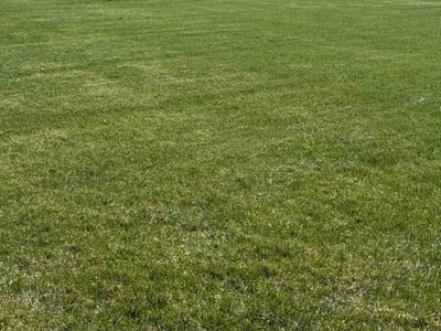 Lawn care service in Appleton, 54913