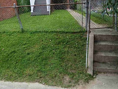 Lawn care service in Baltimore, 21218