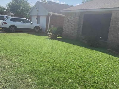 Lawn care service in Friendswood, 77546