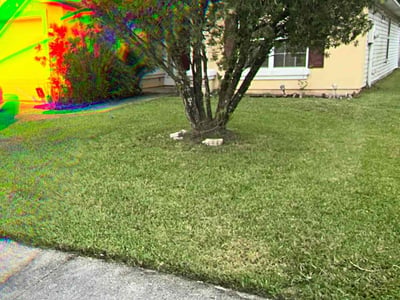 Lawn care service in Jacksonville, 32244