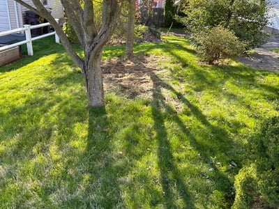 Lawn care service in New Britain, 06053