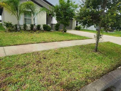 Lawn care service in Sun City Center, 33573