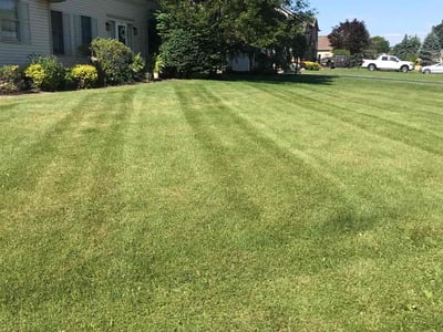 Lawn care service in Youngstown, 44512