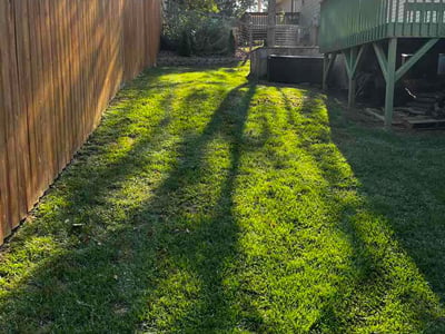 Lawn care service in Asheville, 28806
