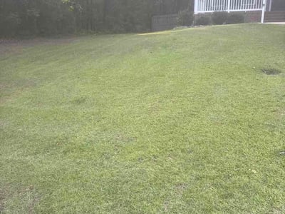 Lawn care service in Raeford, 28376