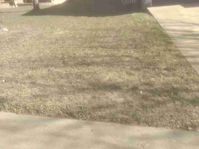 Lawn care service in Austin, 78745