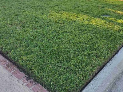 Lawn care service in Orange Park, 32003