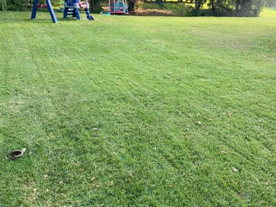 Lawn care service in Burlington, 08016