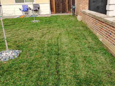 Lawn care service in , 