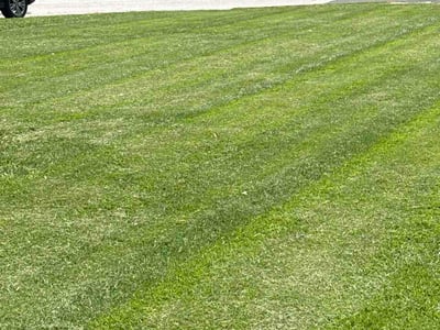 Lawn care service in St. Louis, 63136