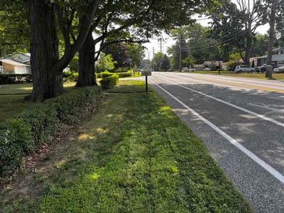Lawn care service in Mentor, 44060