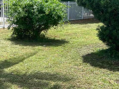 Lawn care service in Miami, 33127