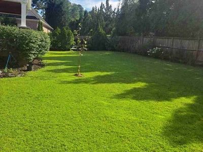 Lawn care service in Fayetteville, 28303