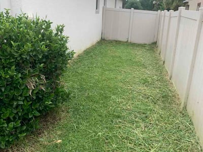 Lawn care service in Land O' Lakes, 34637