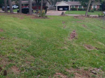 Lawn care service in Jackson, 39212