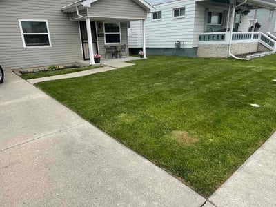 Lawn care service in Warren, 48089