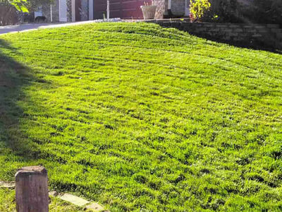 Lawn care service in Colorado Springs, 80923