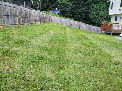 Lawn care service in Springfield, 01109