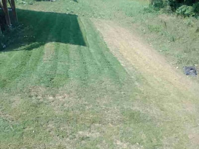 Lawn care service in Kenosha, 53144