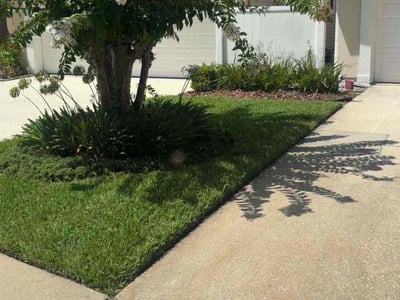 Lawn care service in Jacksonville, 32224
