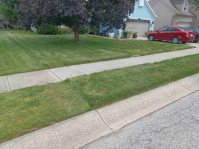 Lawn care service in Indianapolis, 46221