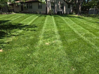 Lawn care service in Kansas City, 64118