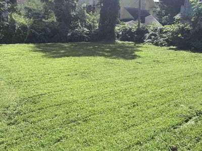 Lawn care service in Woodbury, 08096