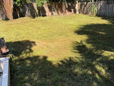 Lawn care service in West Palm Beach, 33403