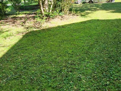 Lawn care service in Snellville, 30039