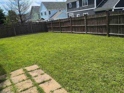 Lawn care service in Boston, 02124