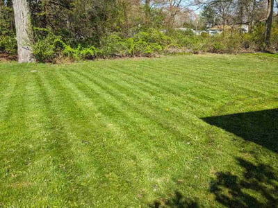 Lawn care service in Waterbury, 06705