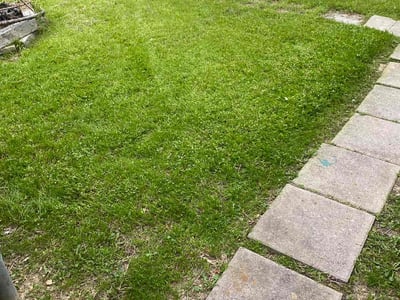 Lawn care service in Grand Prairie, 75052