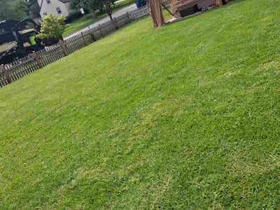 Lawn care service in Bartlett, 60103