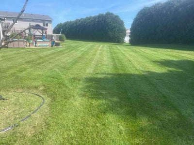 Lawn care service in Racine, 53403