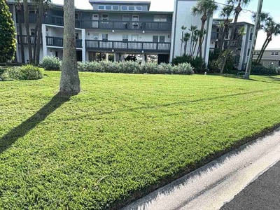 Lawn care service in Treasure Island, 33706