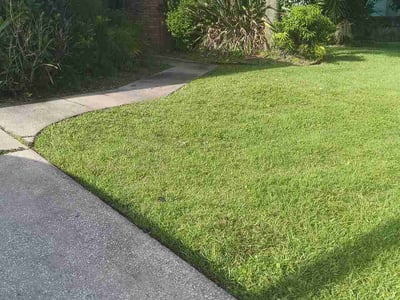 Lawn care service in Orlando, 32837
